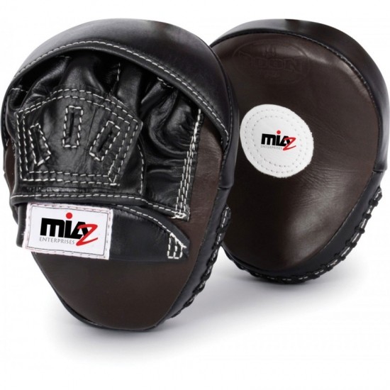 Coaching & Focus Mitts