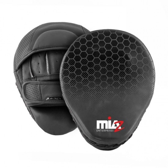 Coaching & Focus Mitts